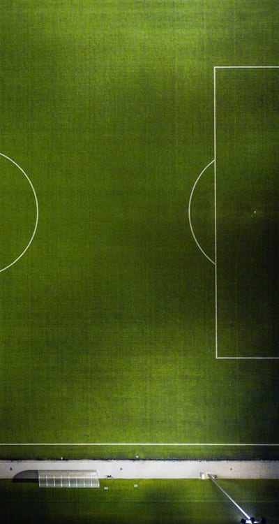 Nutrient deficiency in green bean plants - recognize signs and address for healthy growth.