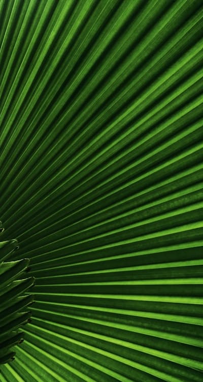 Tangible Object: Paper Bag