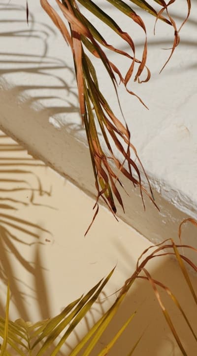 Light, Nitrogen fertilizer