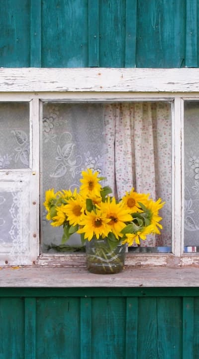 Maintain a self-sustaining garden with saved organic seeds.