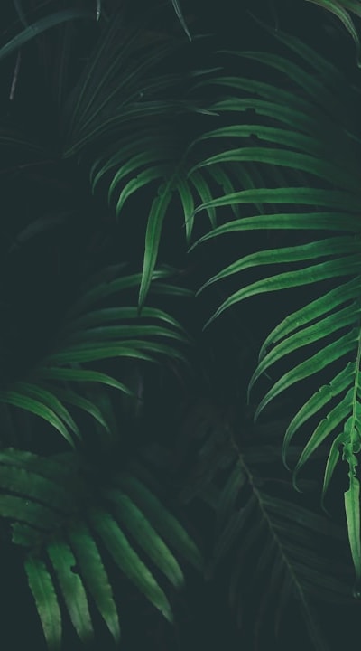 A guide to troubleshooting common issues with your climbers