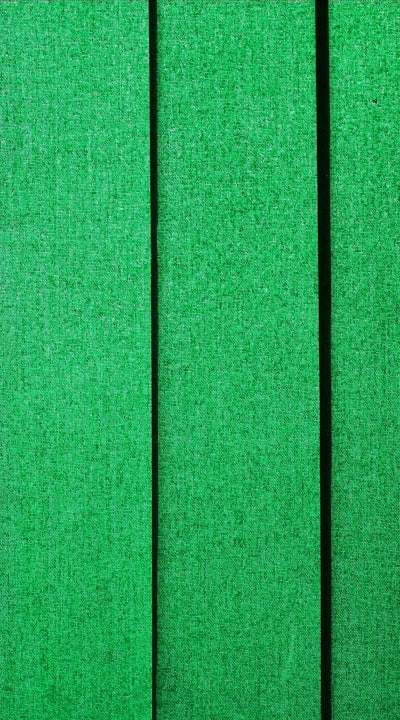 Starting green bean seeds in individual pots.