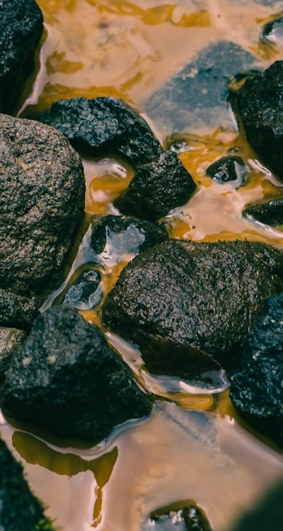 Hands planting seeds in soil-filled containers