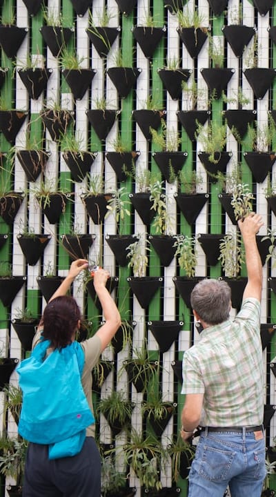 Planting seeds too deep can hinder growth.