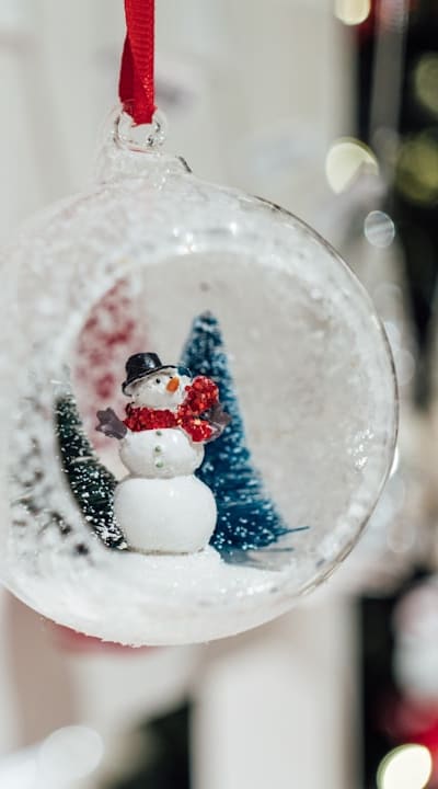Germination time, Bell peppers