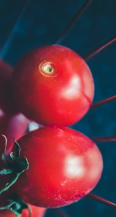 Supporting biodiversity through organic vegetable seeds