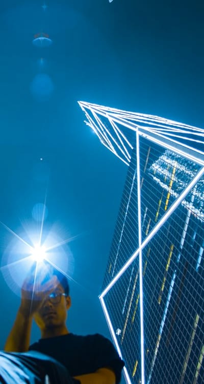 Harvested pole beans, fully matured and ready to enjoy.