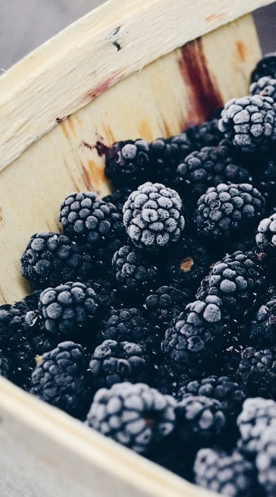 Harvest of pole beans showcasing their abundant yield