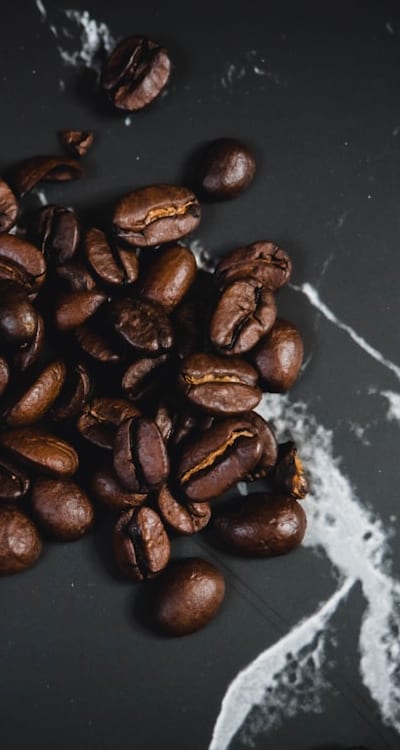 Ripe poppy seed pods are ready to be harvested.
