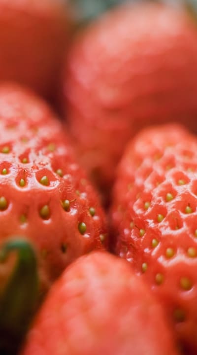 Growing potatoes from seed for fresh, organic food.