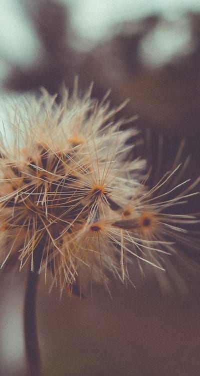 Choosing the right containers for seed starting.