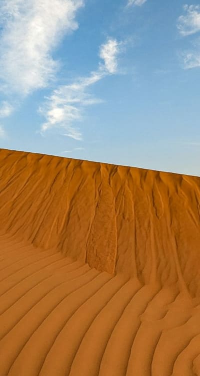 A variety of containers for indoor flower seedlings.