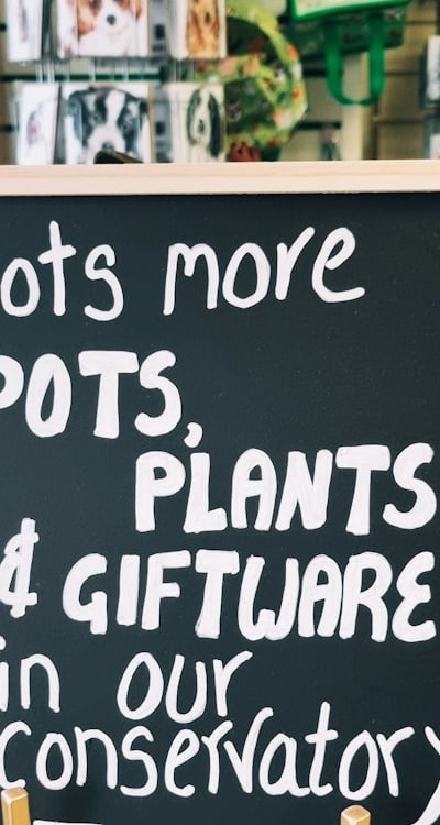 Indoor gardening, Growing cut flower seeds