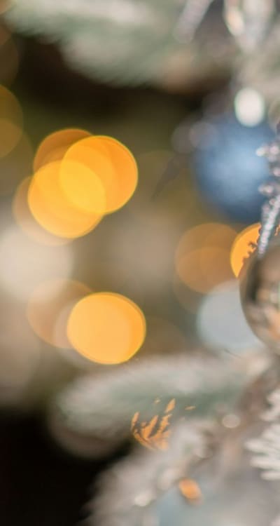 Proactive pruning helps disease and pest resistance.