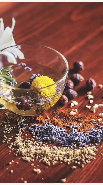 Growing a vibrant radish garden with diverse varieties.