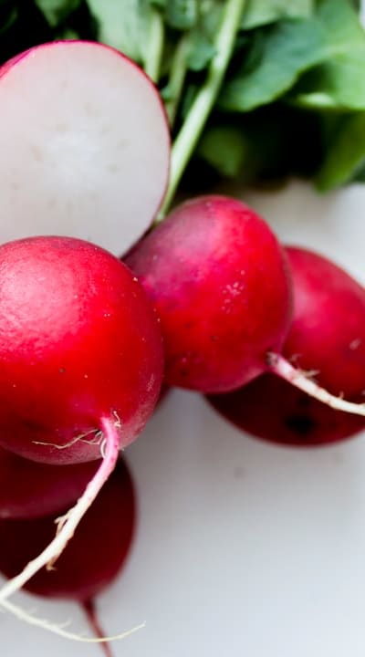 Organic radish seeds for healthy and natural radishes