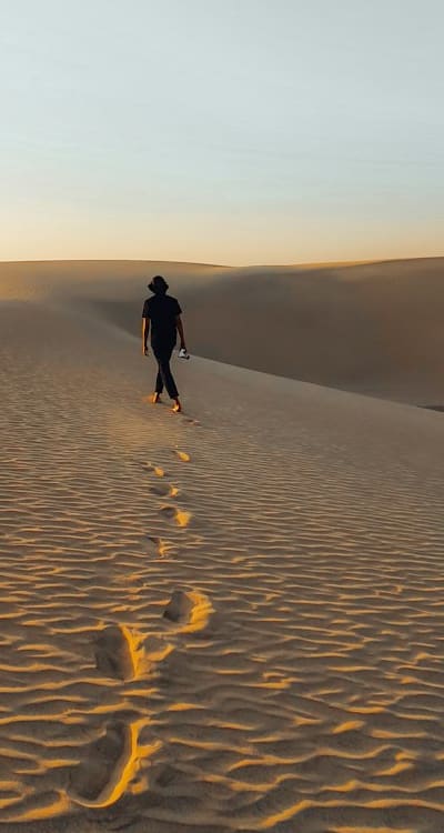 Organic radish seeds and healthy soil