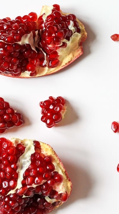 Tips for troubleshooting radish seed germination problems