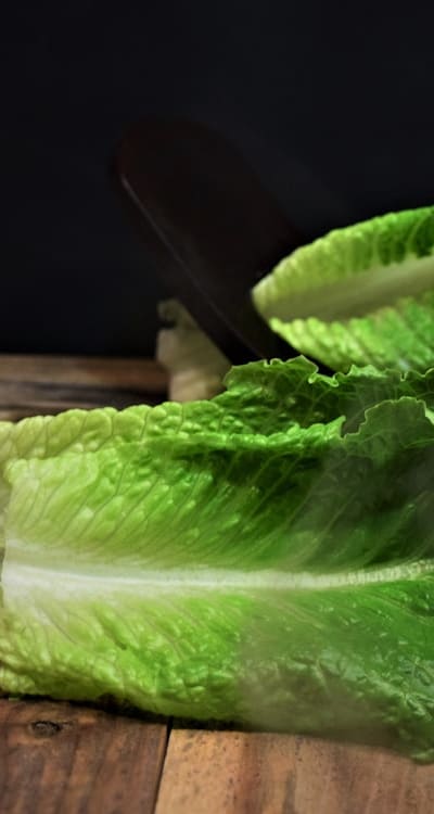 Soil drainage is crucial for healthy lettuce growth.