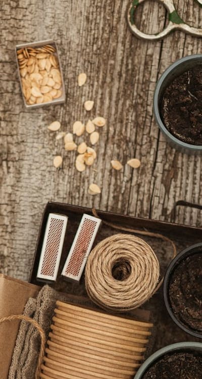 Maximize seed starting light efficiency with reflectors.