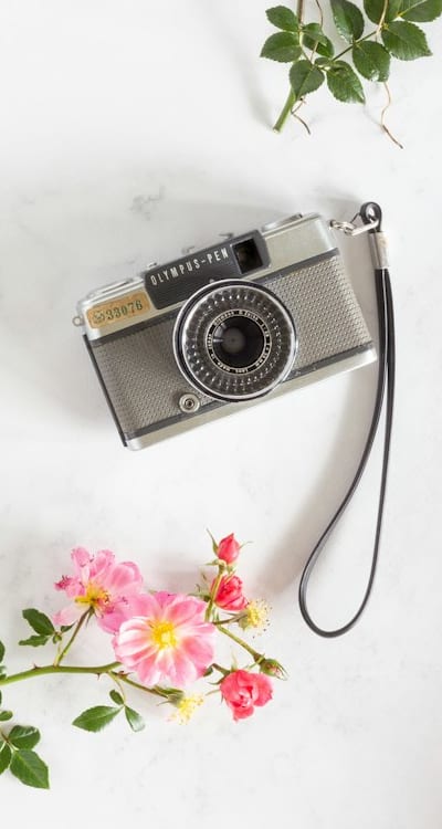 Choosing the right scarification method for your wildflower seeds.