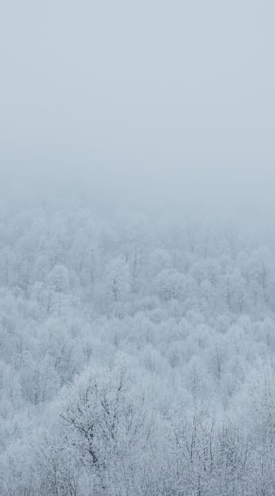 Tips on selecting climate-appropriate seeds for aquaponics