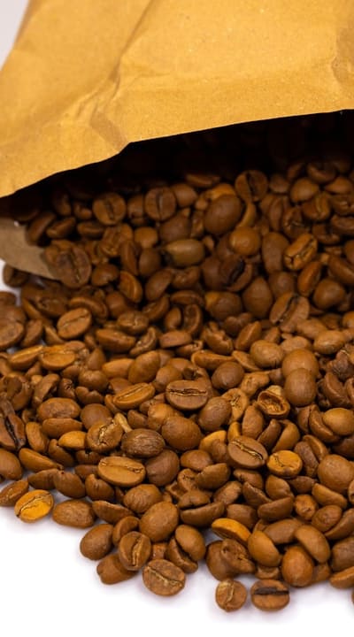 Understanding the distinction between open-pollinated and hybrid seeds