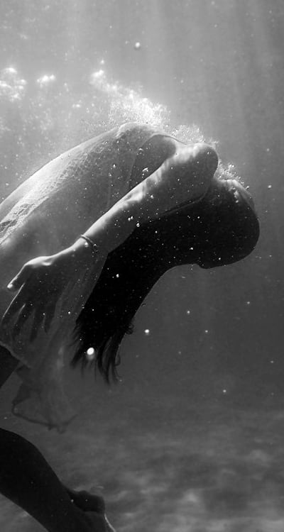 Seed imbibes water, initiating germination process.