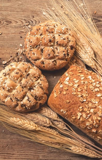 Intricate structures of monocot seeds play vital roles.