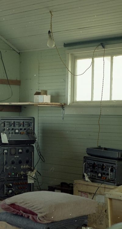 Caption: Exploring the intricate process of gymnosperm seed development.