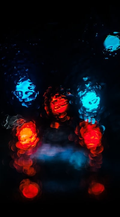 A guide to choosing seed starting lights for perennial flowers