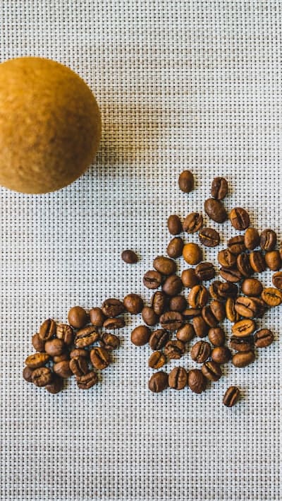 Perennial flowers thrive with the right seed starting mix.