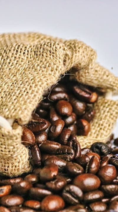 A variety of seed starting containers for perennial flowers.