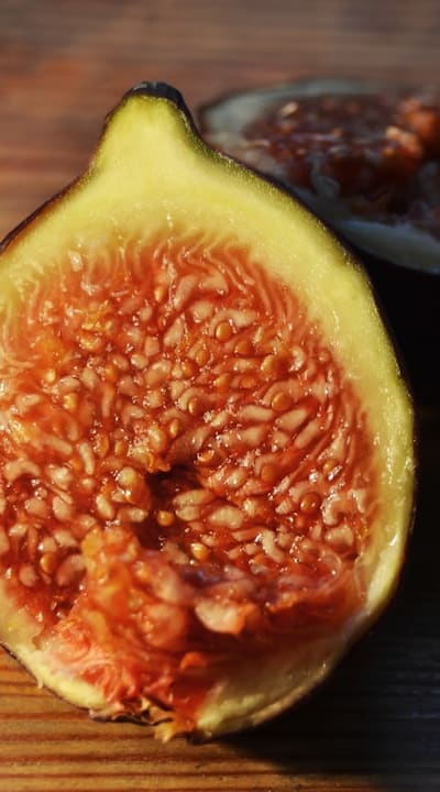 Herb seed starting techniques for successful germination.