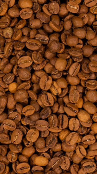 Starting seeds indoors for successful flower gardening.