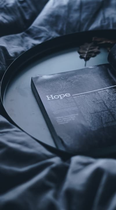 Tips for Successful Herb Seed Germination