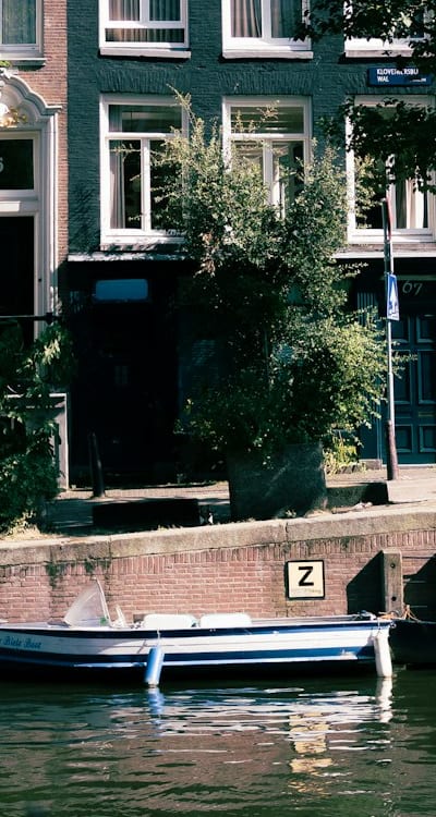 Optimal timing for transplanting beet seedlings