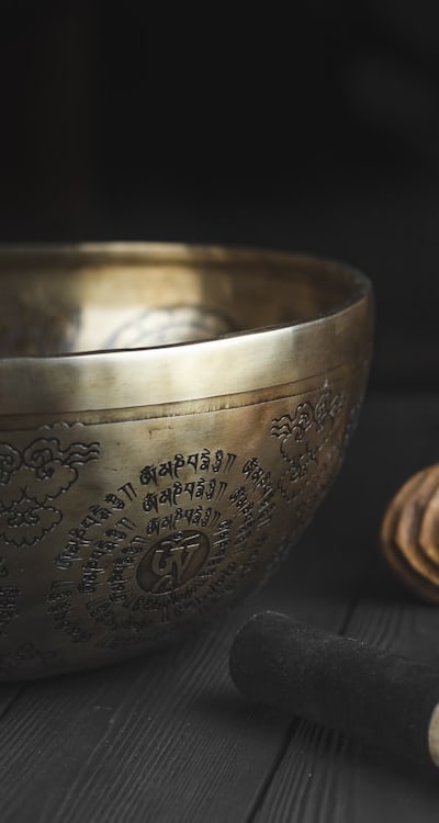 Proper care ensures healthy growth of dicot seedlings.