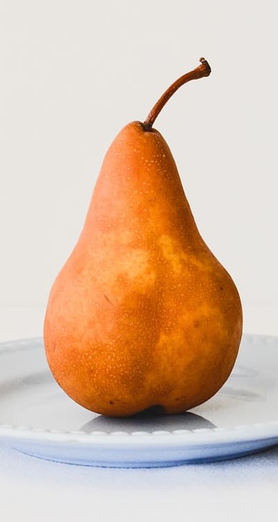 Proper care for fruit seedlings ensures healthy growth.