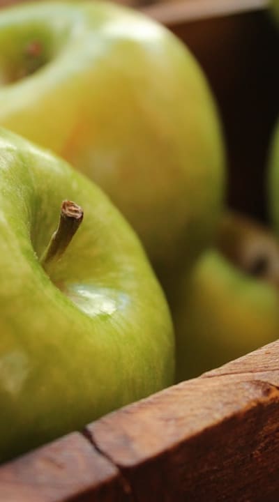 Preventing weak or leggy seedlings with proper lighting.