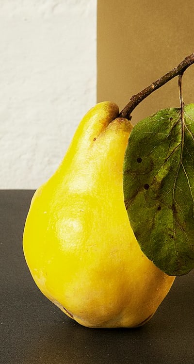 Healthy fruit seedlings for a thriving organic garden.