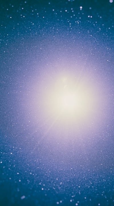 Leggy seedlings reaching for light source