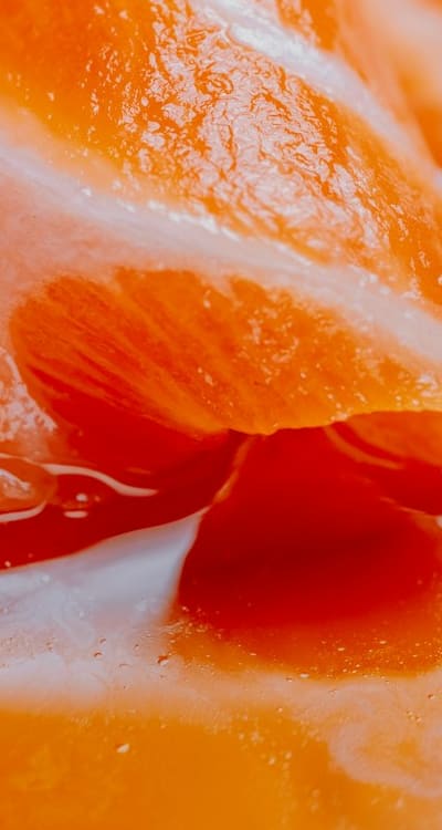 Healthy seedlings being nurtured with organic fertilizers