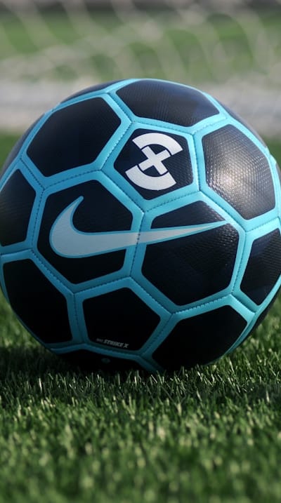 Gently handling a seedlings root ball for transplantation.