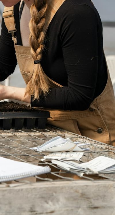 Providing proper care for healthy organic seedlings