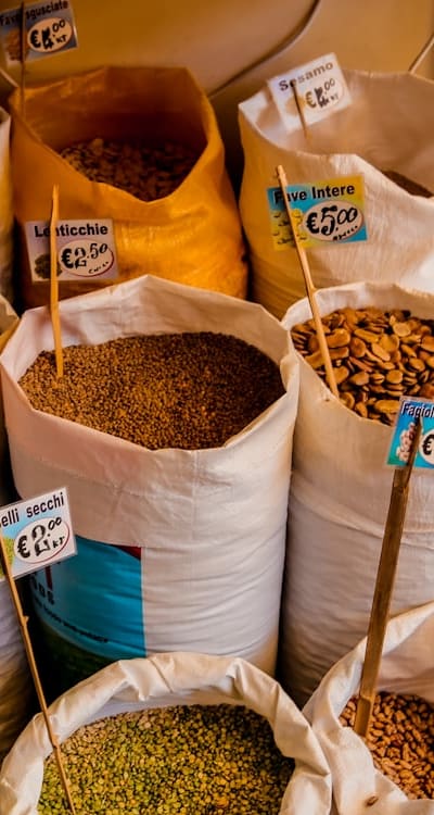 Benefits of Organic Seedling Care in Home Gardening