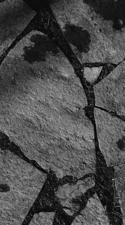 Thinning out seedlings - creating space for growth.