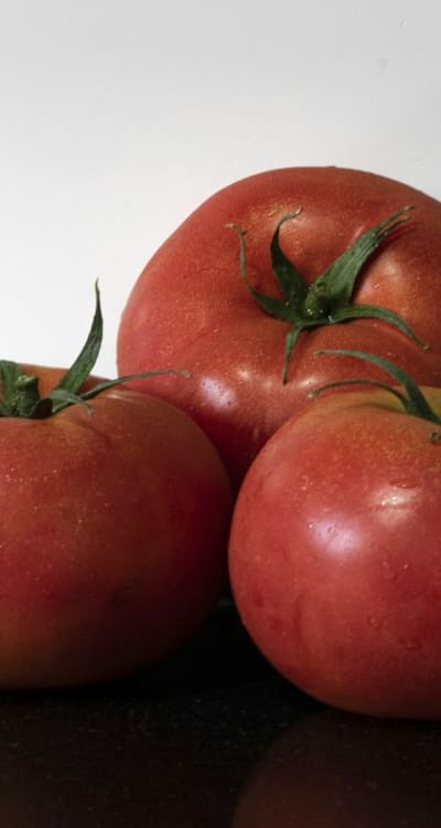 harden off seedlings gradually for outdoor conditions