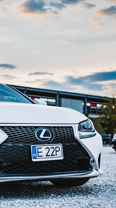 A guide to biennial flower seedling care