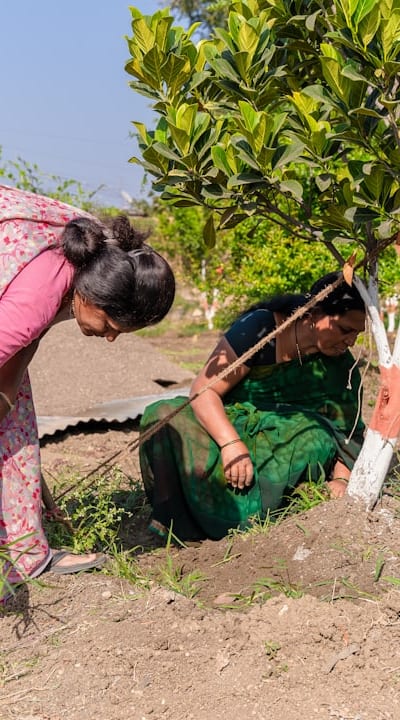 A guide to choosing the best organic seedling fertilizer